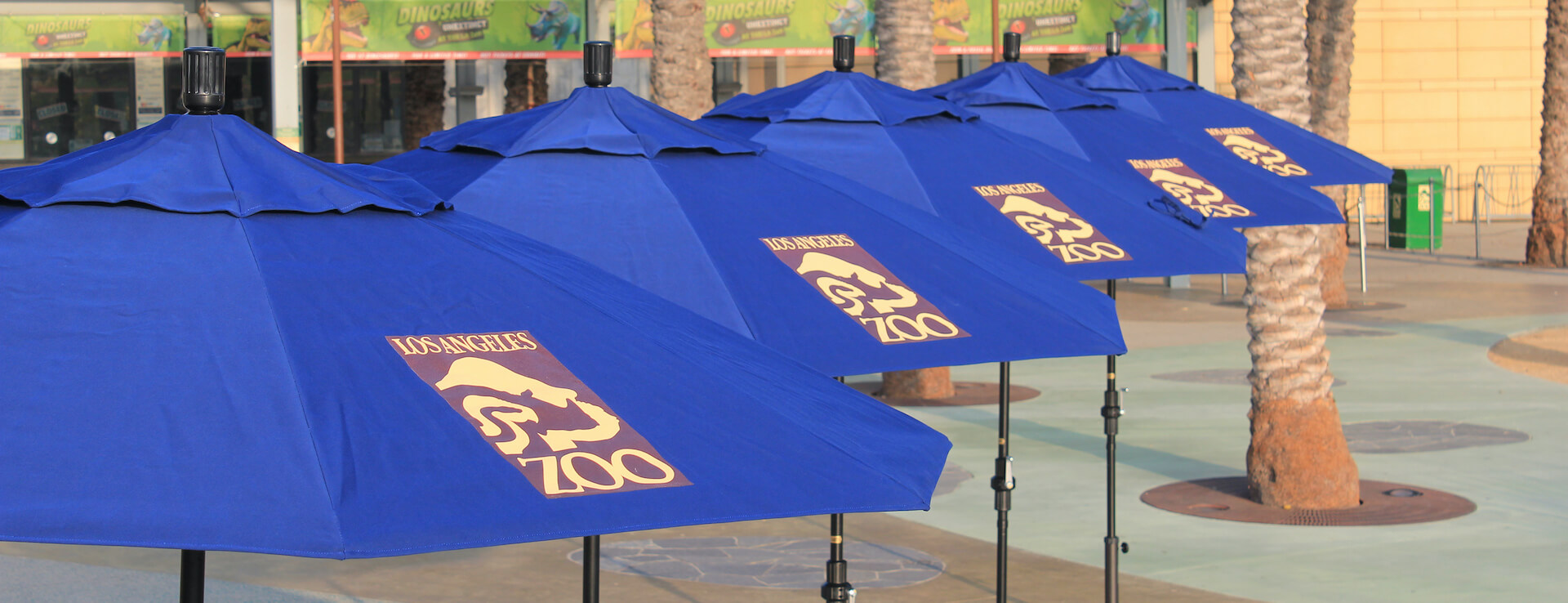 Promotional umbrellas